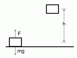 Epg1